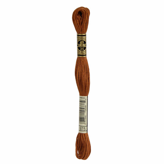DMC Mouliné Spécial Embroidery Thread - 975