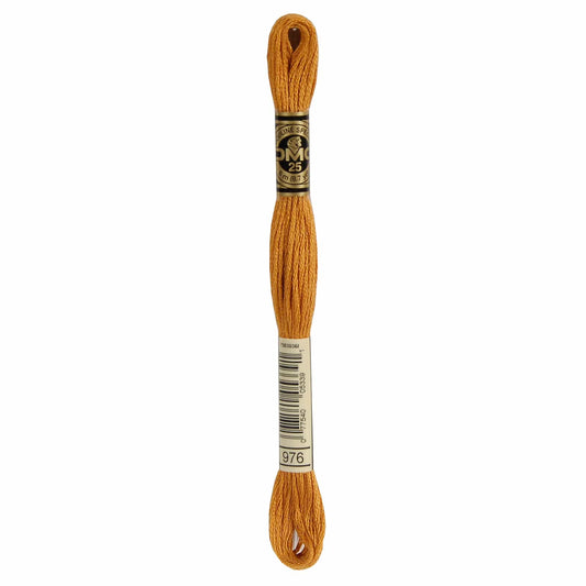 DMC Mouliné Spécial Embroidery Thread - 976
