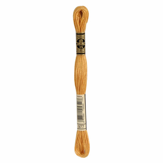 DMC Mouliné Spécial Embroidery Thread - 977