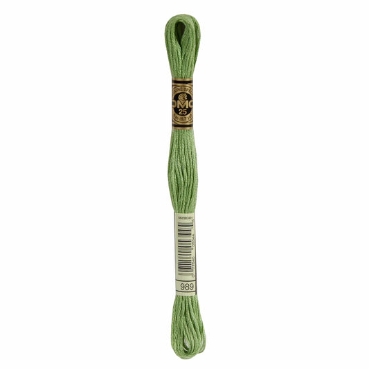 DMC Mouliné Spécial Embroidery Thread - 989