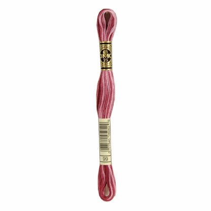 DMC Mouliné Spécial Embroidery Thread VARIEGATED - 99