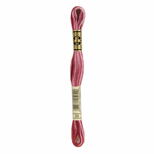 DMC Mouliné Spécial Embroidery Thread VARIEGATED - 99