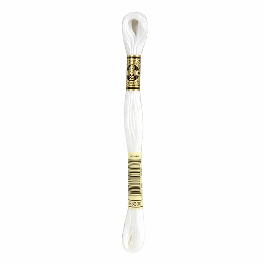DMC Mouliné Spécial Embroidery Thread - B5200