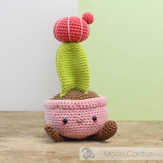 DIY Haakpakket - Moon Cactus