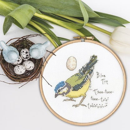 Kit de broderie - Petite Mésange bleue XMF6