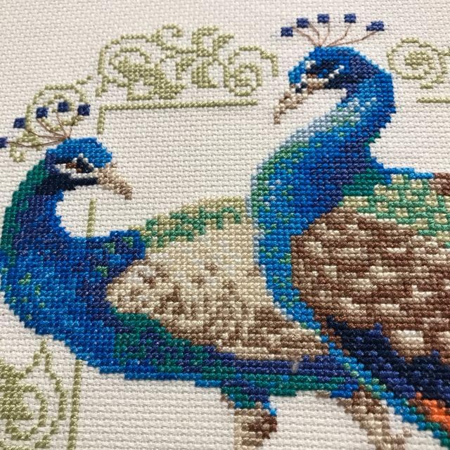 Borduurpakket - Peacocks 767