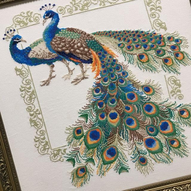 Borduurpakket - Peacocks 767