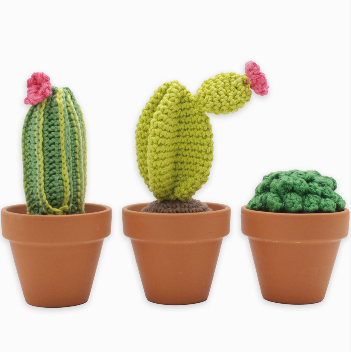 DIY Crochet Kit - Cacti