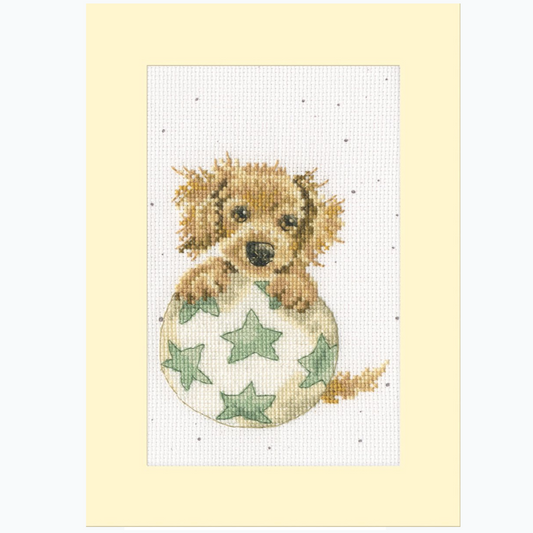 Greeting Card Embroidery Kit - Bouncing Birthday XGC47
