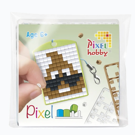 Pixelhobby - Medaillon Startset - Drol 23124