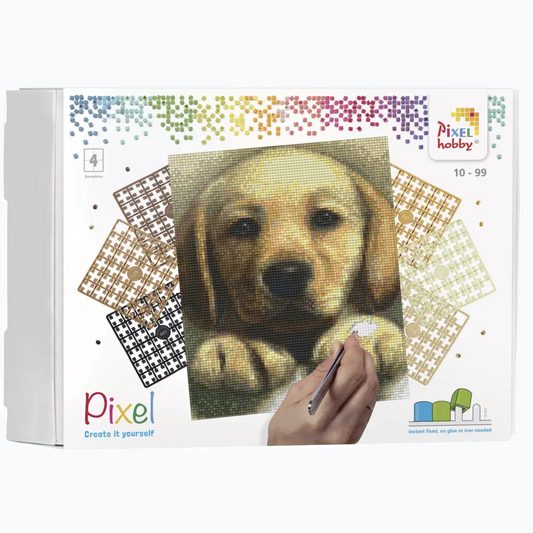 Pixelhobby - Pixel Classic 4 Basisplaten - Golden Retriever 90045