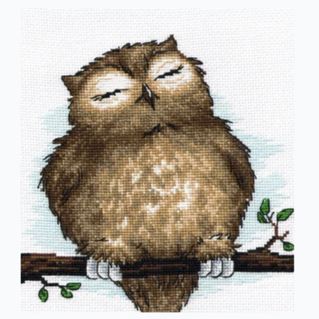 Embroidery kit - Owl Dream