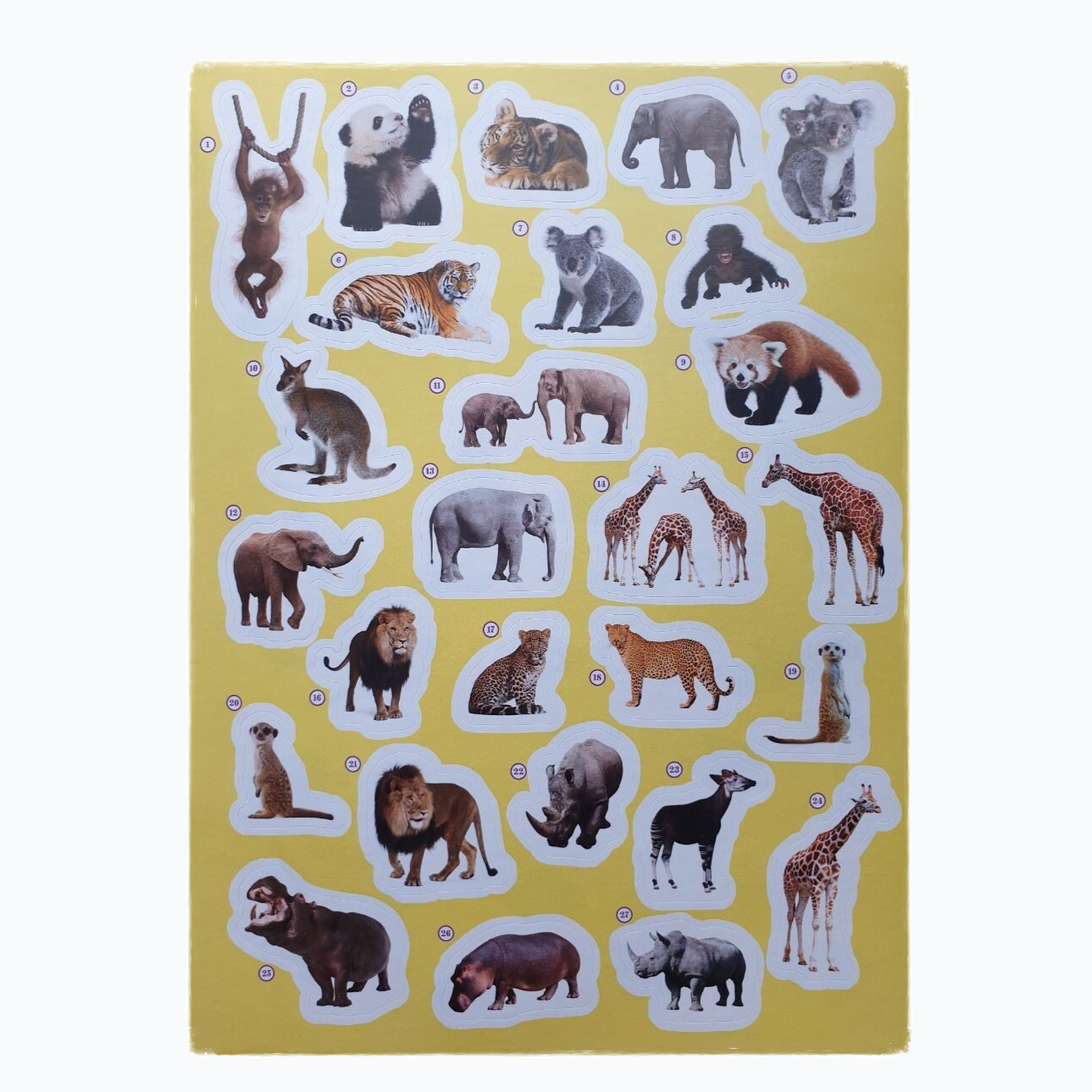 Sticker Book - Animals Everywhere