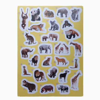 Sticker Book - Animals Everywhere