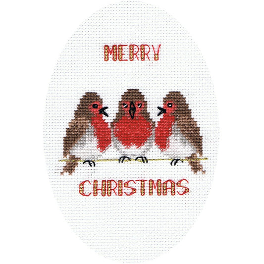 Greeting Card Embroidery Kit - Christmas - Robin Trio CDX41