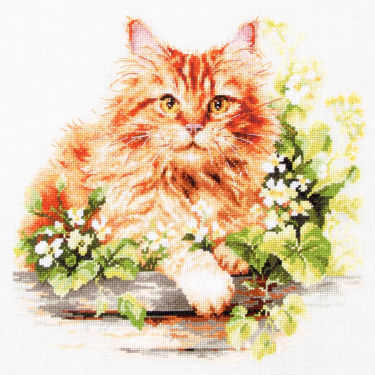 Cross Stitch Embroidery Kit - The Ginger Cat 070-022