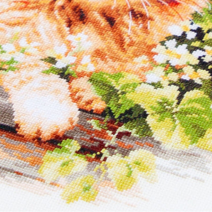 Cross Stitch Embroidery Kit - The Ginger Cat 070-022