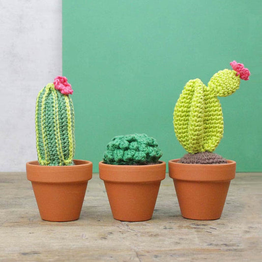 DIY Crochet Kit - Cacti