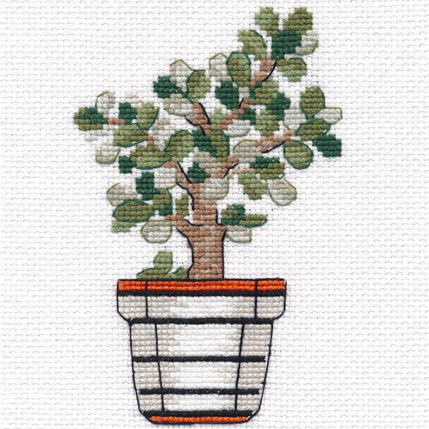 Kruissteek Borduurpakket - Crassula S1488