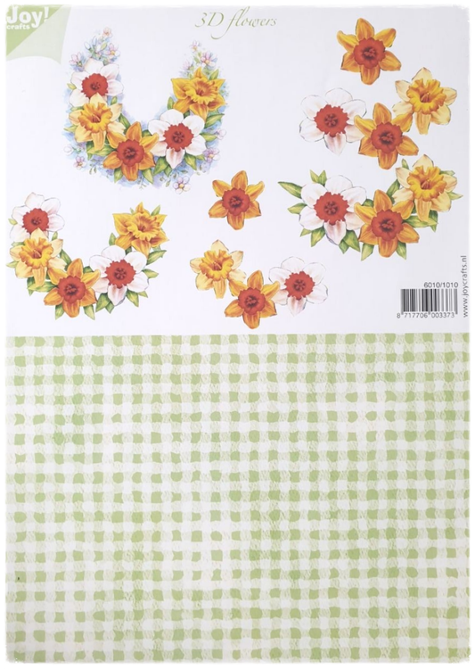 3D Cutting Sheet - 3D Flowers - 6010/1010
