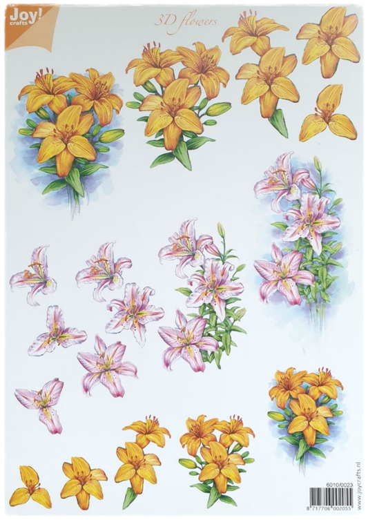 3D Cutting Sheet - 3D Flowers - 6010/0023