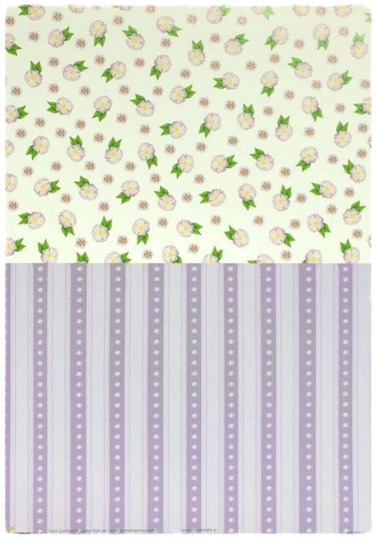 Basic sheet - Fairy Dreams - N° 01