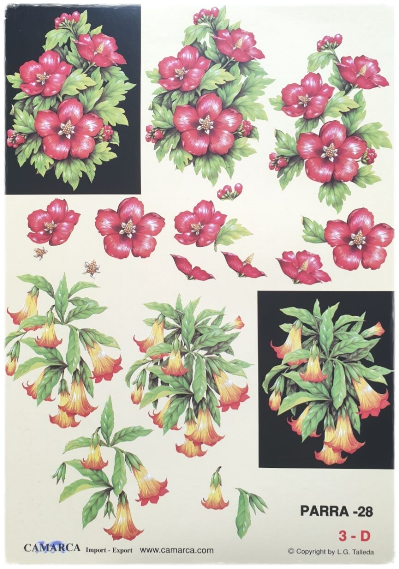 3D Cutting Sheet - Flowers - Parra 28
