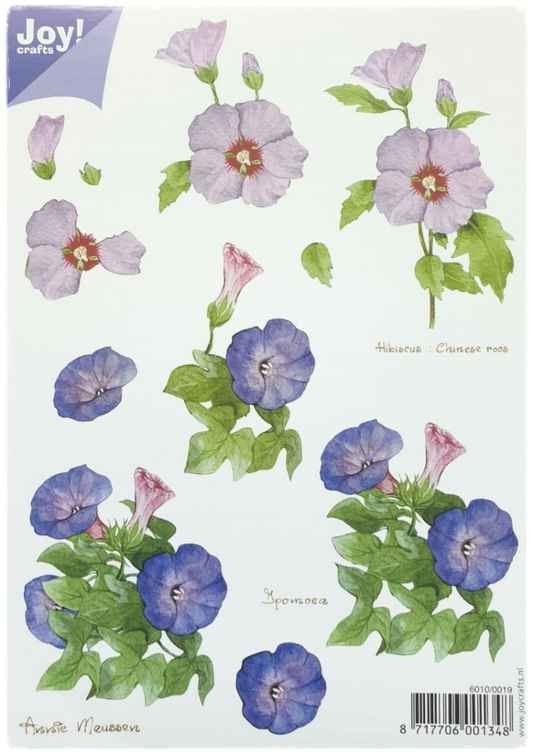 3D Knipvel - Bloemen A5 - 6010/0019