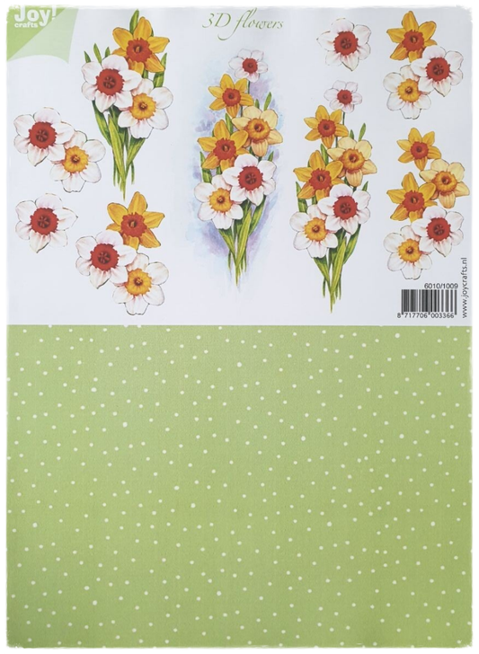 3D Cutting Sheet - 3D Flowers - 6010/1009