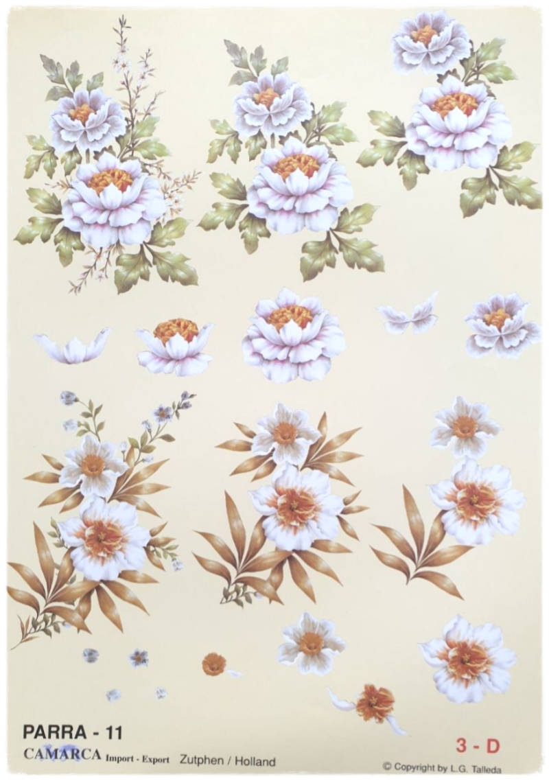 3D Cutting Sheet - Flowers - Parra 11