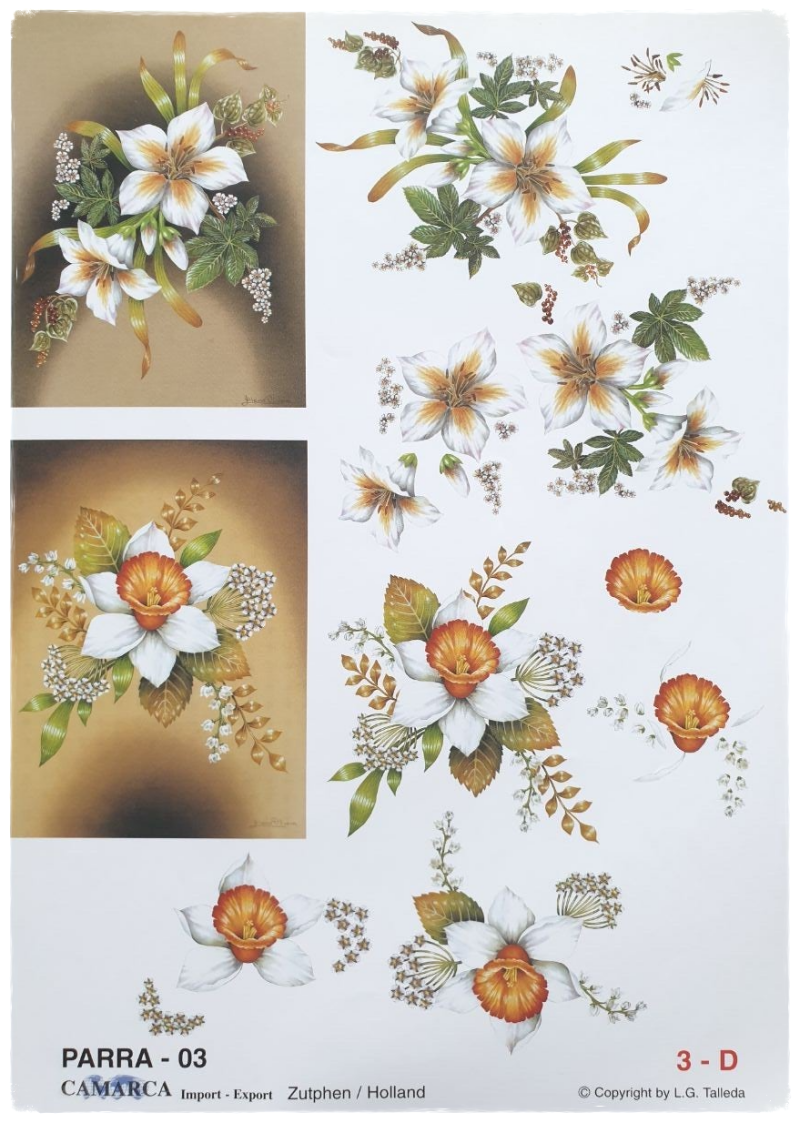 3D Cutting Sheet - Flowers - Parra 03