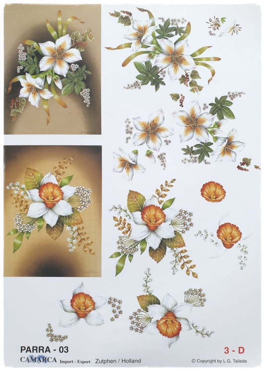 3D Cutting Sheet - Flowers - Parra 03
