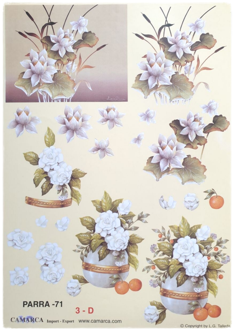 3D Cutting Sheet - Flowers - Parra 71