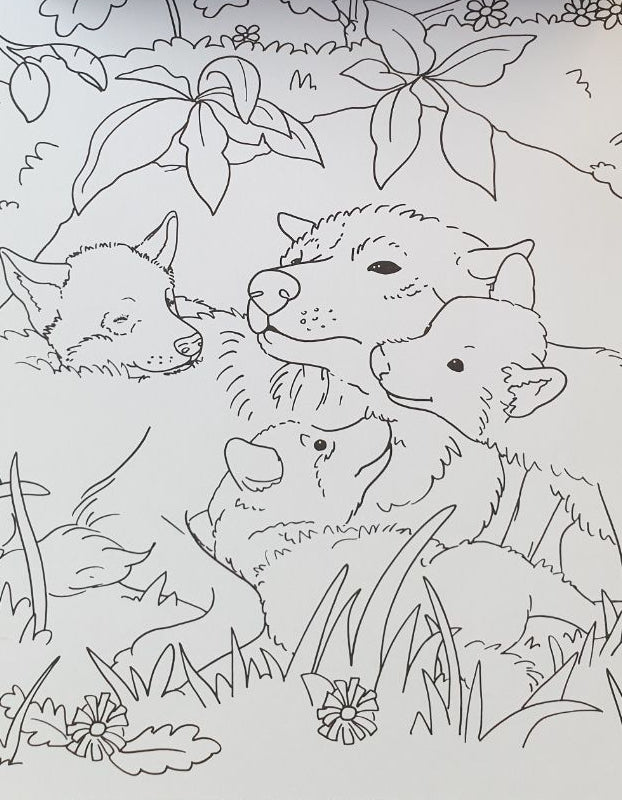 Kleurblok - Babydieren