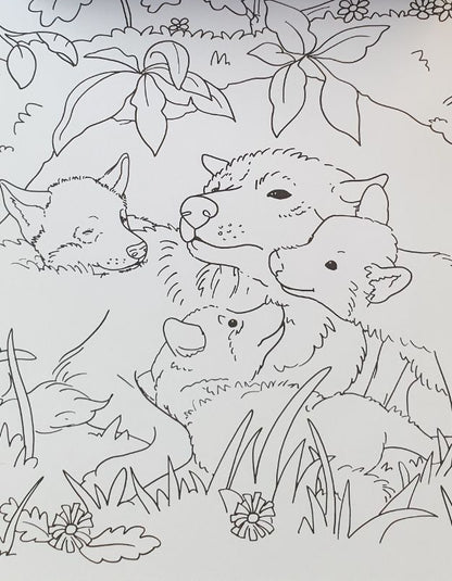 Kleurblok - Babydieren