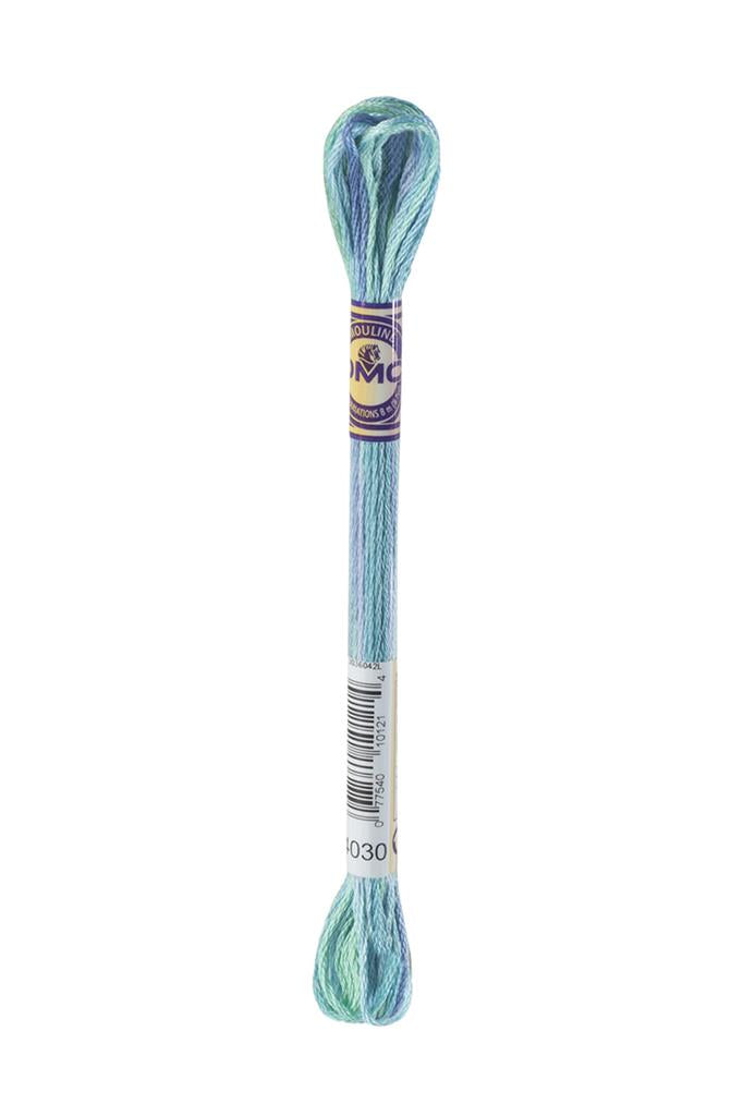 DMC Mouliné Color Variations Embroidery Thread