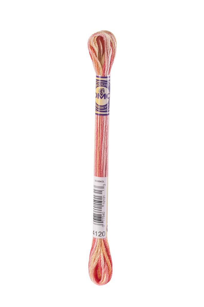 DMC Mouliné Color Variations Embroidery Thread