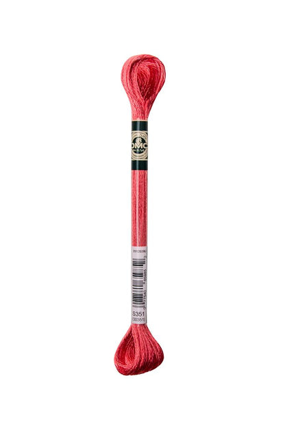 DMC Mouliné Satin Embroidery Thread
