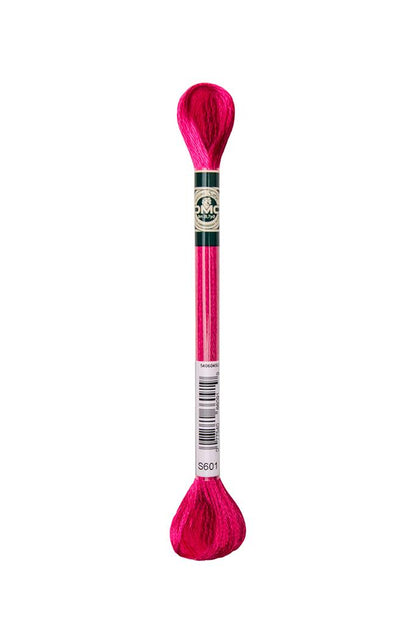 DMC Mouliné Satin Embroidery Thread