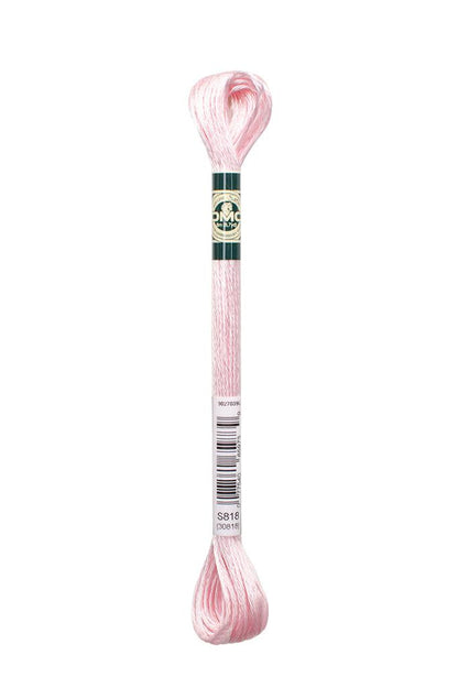 DMC Mouliné Satin Embroidery Thread