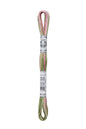 DMC Mouliné Coloris Borduurgaren