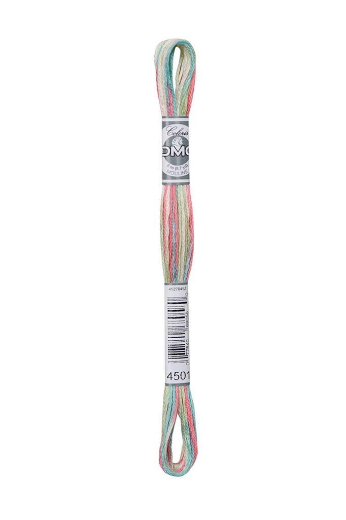 DMC Mouliné Coloris Borduurgaren