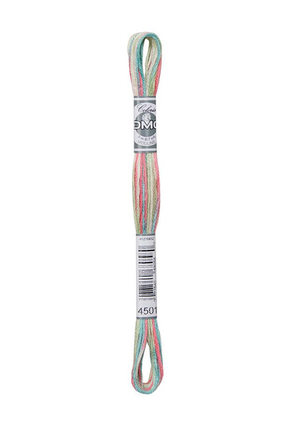 DMC Mouliné Coloris Borduurgaren