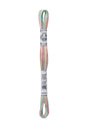 DMC Mouliné Coloris Borduurgaren