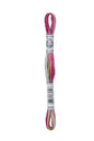 DMC Mouliné Coloris Borduurgaren