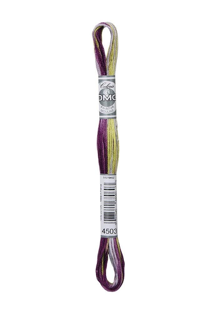 DMC Mouliné Coloris Borduurgaren