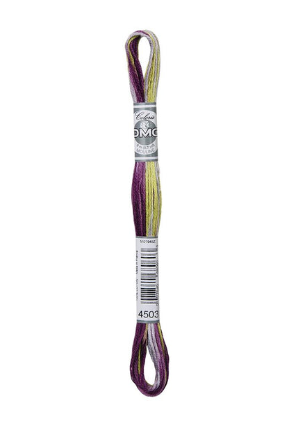DMC Mouliné Coloris Borduurgaren