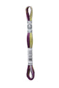 DMC Mouliné Coloris Borduurgaren