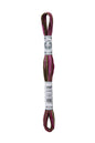 DMC Mouliné Coloris Borduurgaren