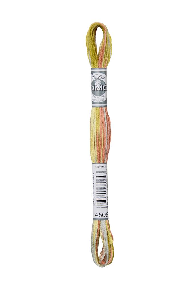 DMC Mouliné Coloris Borduurgaren